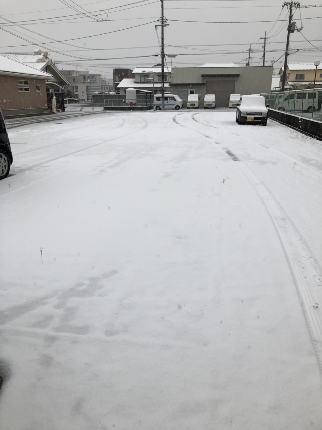 2019年2月11日　雪が降りました